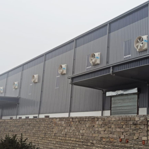 WhatsApp Image 2025-03-08 at 17.43.48