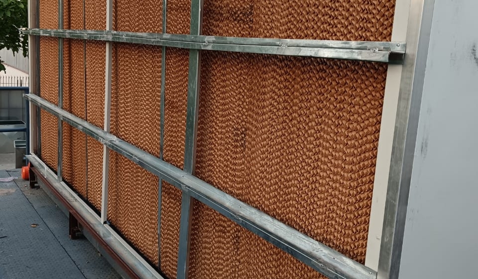 WhatsApp Image 2025-03-08 at 17.46.13